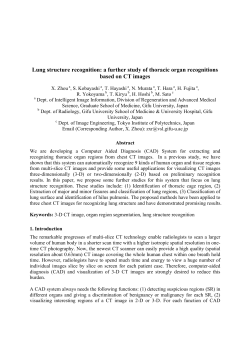 Lung structure recognition: a further study of