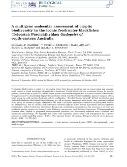 A multigene molecular assessment of cryptic biodiversity in the