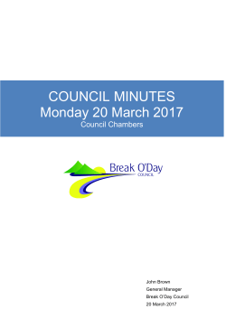 Council Minutes - March 2017