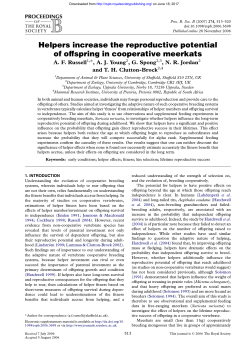 Helpers increase the reproductive potential of offspring in