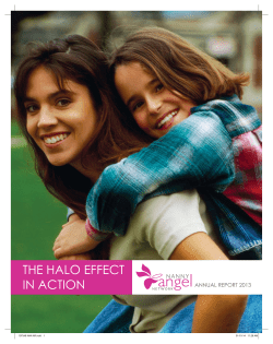 2.0 - Nanny Angel Network