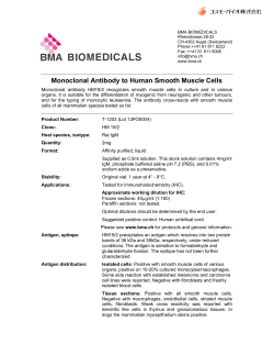 Monoclonal Antibody to Human Smooth Muscle Cells