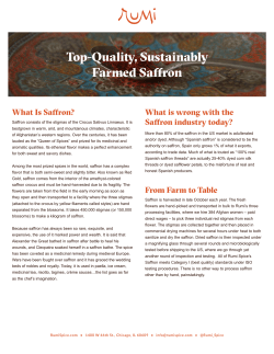 Top-Quality, Sustainably Farmed Saffron