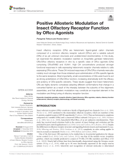 Positive Allosteric Modulation of Insect Olfactory Receptor Function