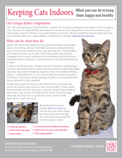 Keeping Cats Indoors