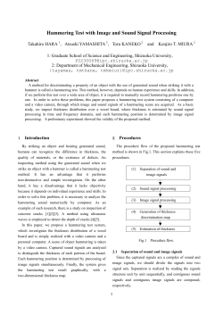 Hammering Test with Image and Sound Signal Processing
