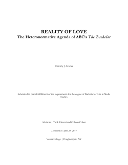 reality of love - Digital Window @ Vassar
