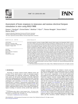 Assessment of brain responses to innocuous and noxious electrical