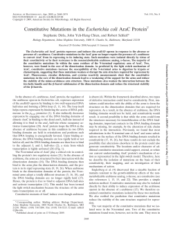 122. Constitutive Mutations in E. coli AraC Protein, S. Dirla, Y. Heh