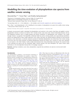 Modelling the time-evolution of phytoplankton