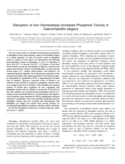 Disruption of Iron Homeostasis Increases Phosphine Toxicity in