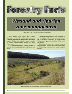 Wetland and riparian zone management