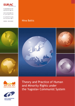 Theory and practice of human Rights and minority rights under the