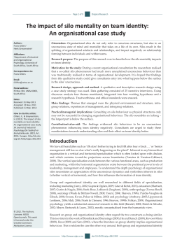 The impact of silo mentality on team identity