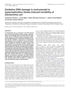 Oxidative DNA damage is instrumental in hyperreplication