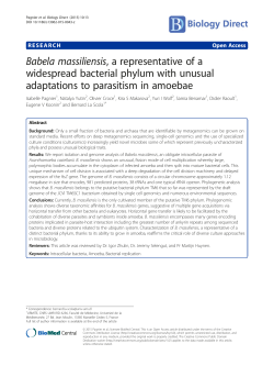 Babela massiliensis, a representative of a