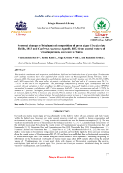 Seasonal changes of biochemical composition of green