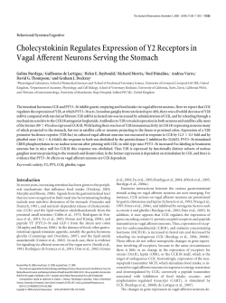 Cholecystokinin Regulates Expression of Y2 Receptors in Vagal