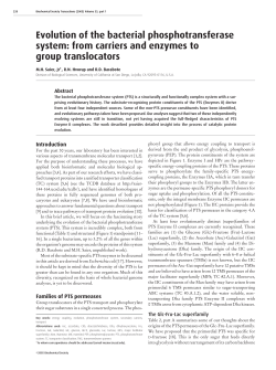 Evolution of the bacterial phosphotransferase system