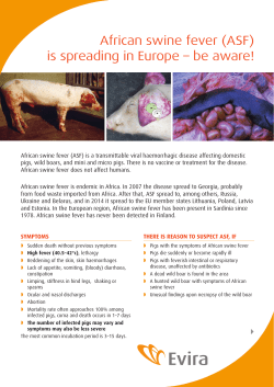 African swine fever (ASF) is spreading in Europe – be aware!