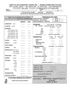 right to life-livingston county, inc. &mdash; spring flower and flat sale