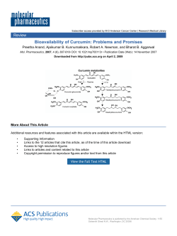 Bioavailability of Curcumin - Holistic Cancer Treatment Photo