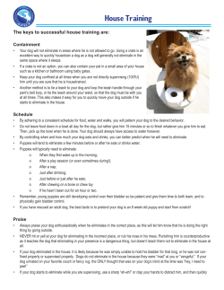 Housetraining