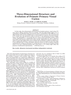 Three-dimensional structure and evolution of