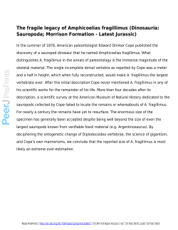 The fragile legacy of Amphicoelias fragillimus