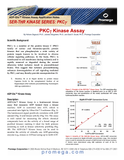 PKC gamma Kinase Applications Note