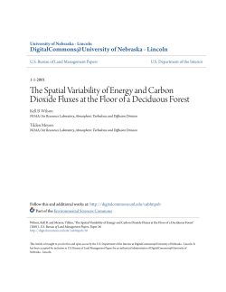 The Spatial Variability of Energy and Carbon