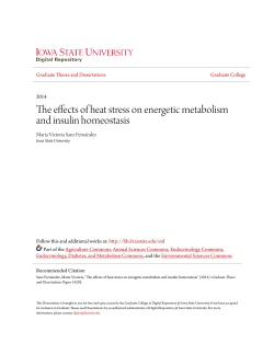 The effects of heat stress on energetic metabolism and insulin