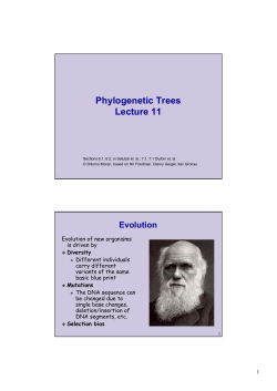 Phylogenetic Trees Lecture 11