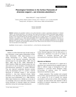 as a PDF