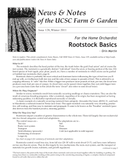 Rootstock Basics