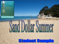 sand dollar summer o_neil