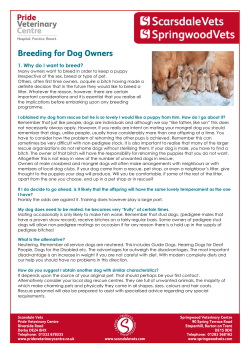 Breeding for Dog Owners - Pride Veterinary Centre
