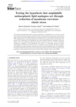 Testing the hypothesis that amphiphilic antineoplastic lipid