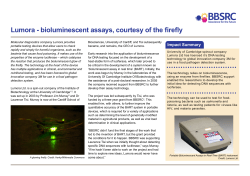 Lumora - bioluminescent assays, courtesy of the firefly