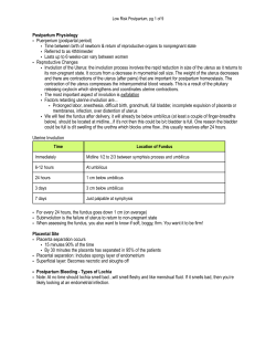 Low Risk Postpartum - Straight A Nursing
