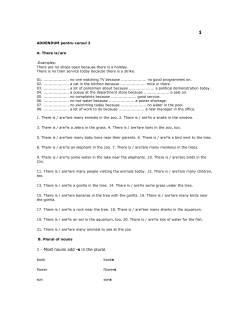 1 - Most nouns add -s in the plural.