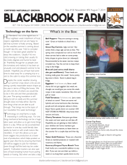 Newsletter 9 - Blackbrook Farm