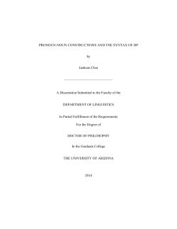 PRONOUN-NOUN CONSTRUCTIONS AND THE SYNTAX OF DP