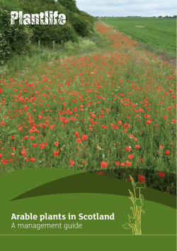 Arable plants in Scotland