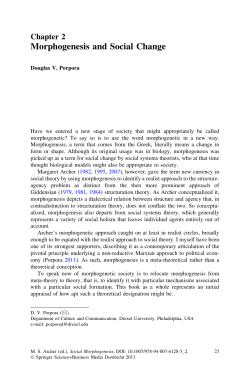 Morphogenesis and Social Change