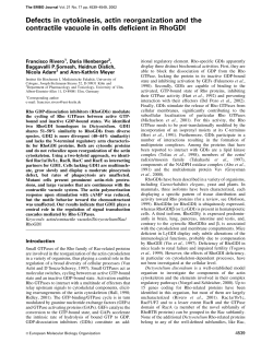 Defects in cytokinesis, actin reorganization and the contractile