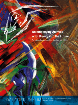 Accompanying Animals with Dignity into the Future