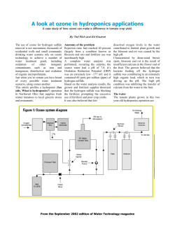A look at ozone in hydroponics applications