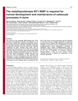 The metalloproteinase MT1-MMP is required for normal