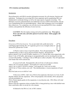 DNA Isolation and Quantitation L.M. Ball Introduction